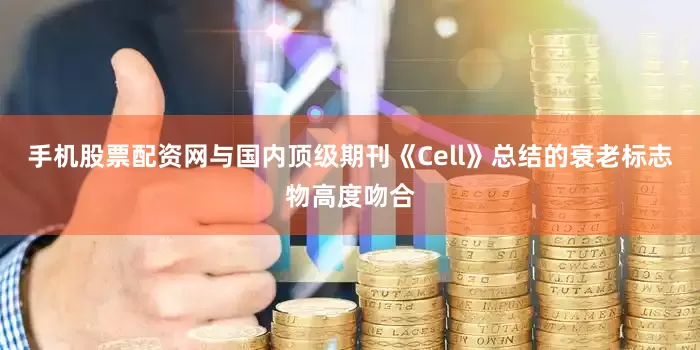 手机股票配资网与国内顶级期刊《Cell》总结的衰老标志物高度吻合